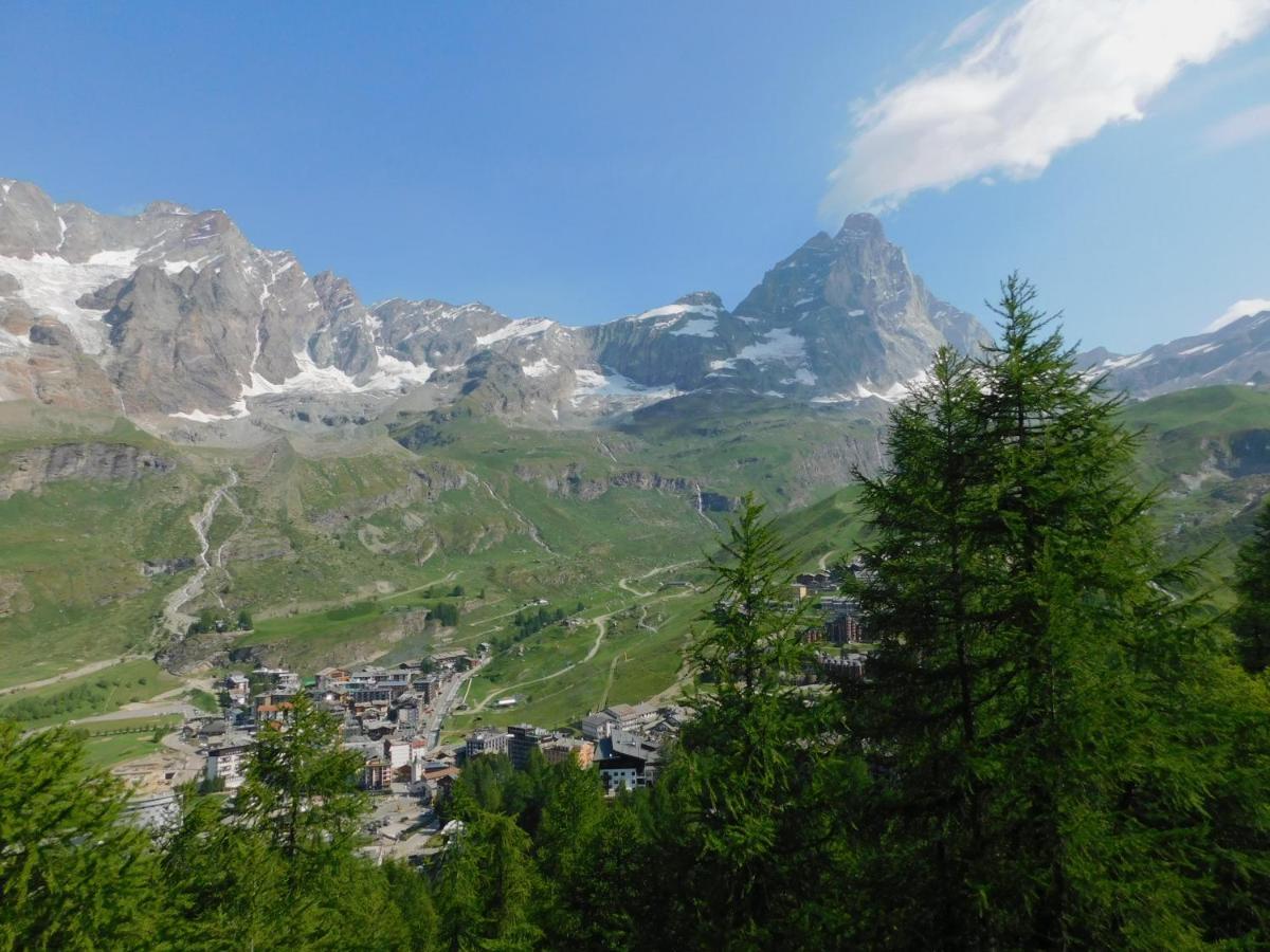 브루일서비니아 Il Gioiello Di Cervinia 아파트 외부 사진